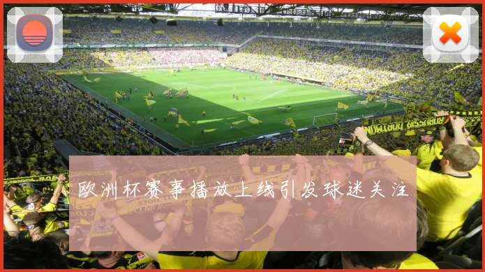 欧洲杯赛事播放上线引发球迷关注